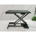 Electric Dog Pet Grooming Table Used for Veterinary Clinic and Hospital